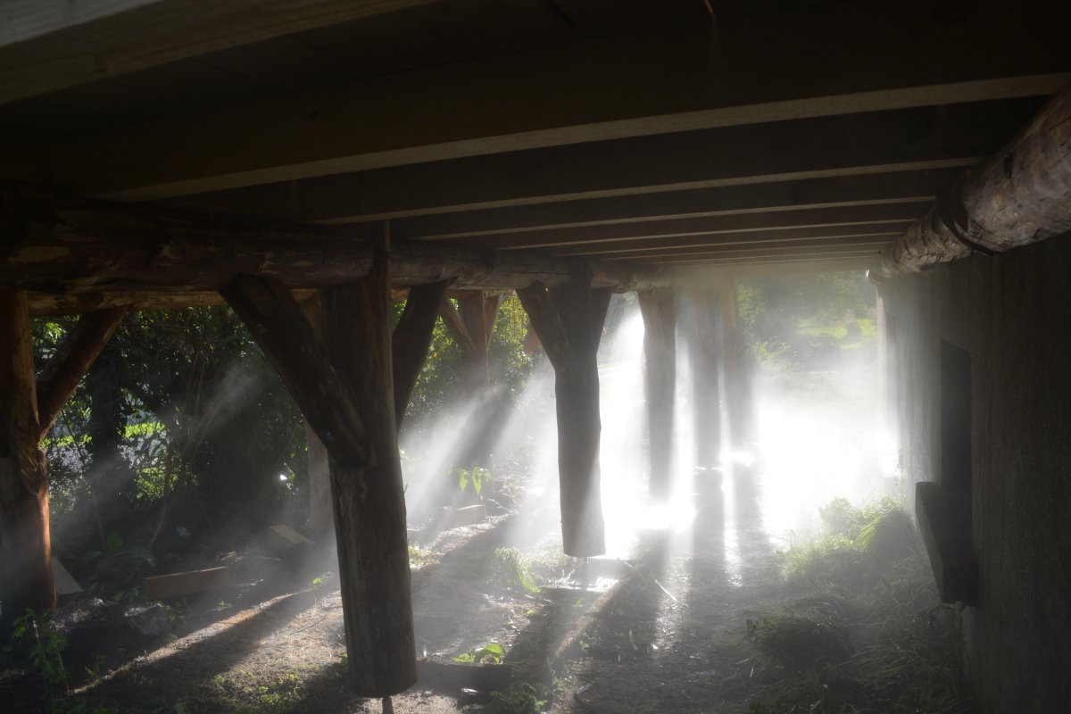 brume sous la structure brume sous la structure